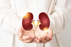 Les 10 Meilleurs Hôpitaux en Inde pour les Transplants de Rein